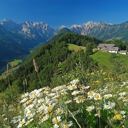 The Bevsek Osep ファームステイ