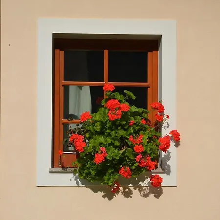 The Bevsek Osep Solčava