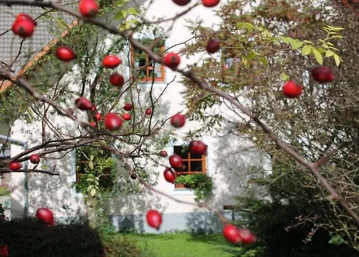 The Bevsek Osep * Solčava