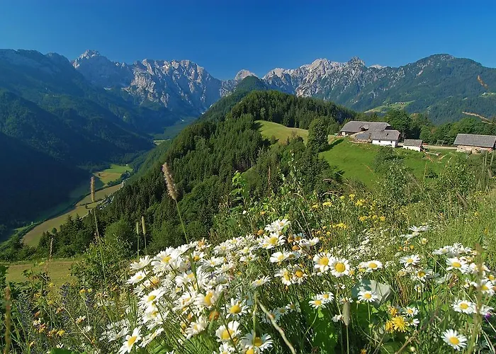 The Bevsek Osep Smještaj na farmi